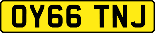 OY66TNJ