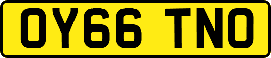 OY66TNO