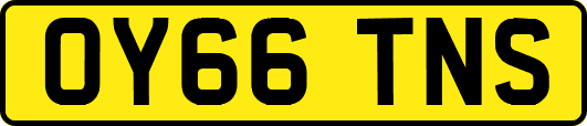 OY66TNS