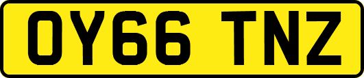 OY66TNZ