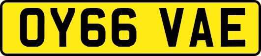 OY66VAE