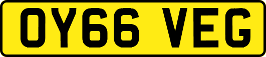 OY66VEG