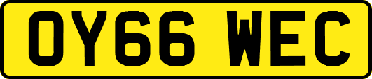 OY66WEC