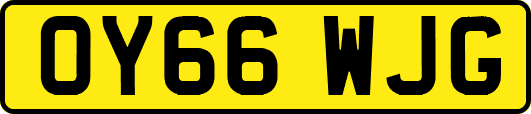 OY66WJG