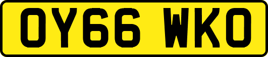 OY66WKO