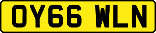 OY66WLN