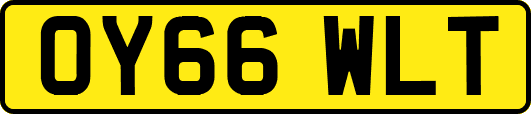 OY66WLT