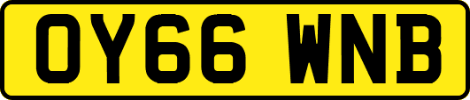 OY66WNB