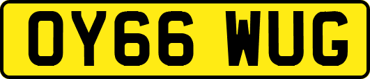 OY66WUG