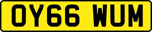 OY66WUM