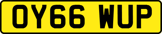 OY66WUP