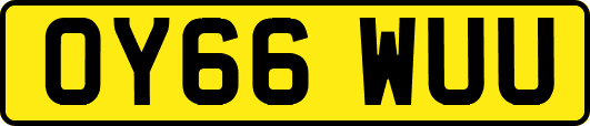 OY66WUU