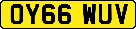 OY66WUV