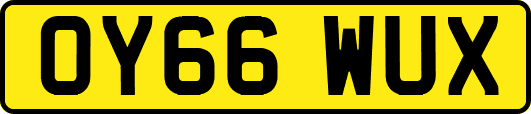 OY66WUX