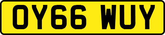 OY66WUY
