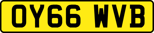 OY66WVB