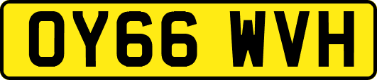 OY66WVH