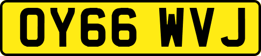 OY66WVJ