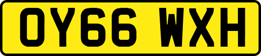 OY66WXH