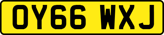 OY66WXJ