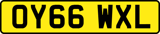 OY66WXL