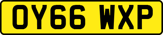 OY66WXP