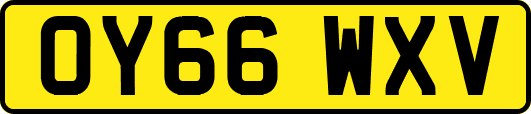 OY66WXV