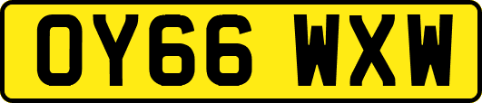 OY66WXW