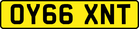 OY66XNT