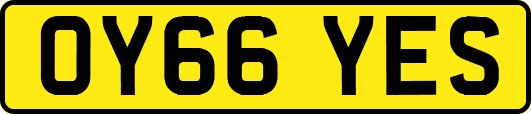 OY66YES