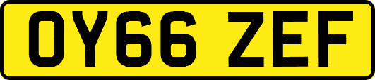 OY66ZEF