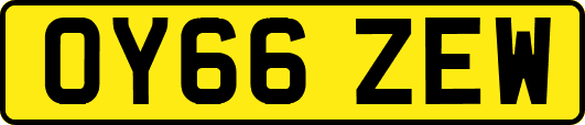 OY66ZEW