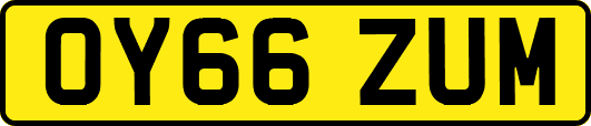 OY66ZUM