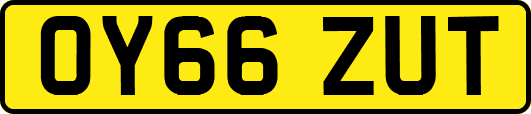 OY66ZUT