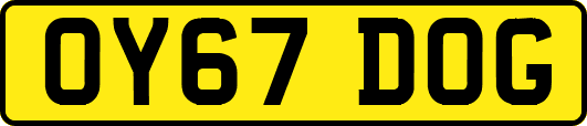 OY67DOG