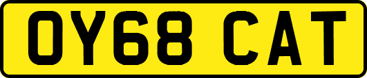 OY68CAT