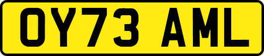 OY73AML