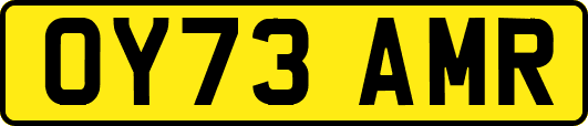 OY73AMR