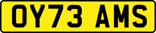 OY73AMS