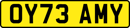OY73AMY