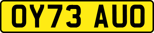 OY73AUO