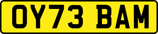 OY73BAM