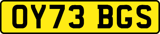 OY73BGS