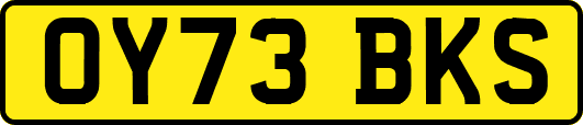 OY73BKS