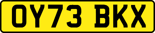 OY73BKX