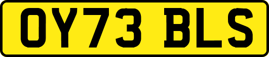 OY73BLS