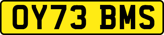 OY73BMS