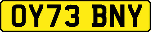 OY73BNY