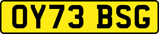 OY73BSG