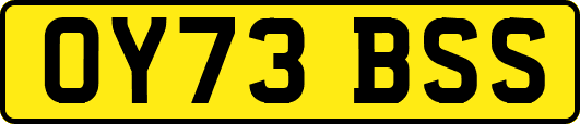OY73BSS